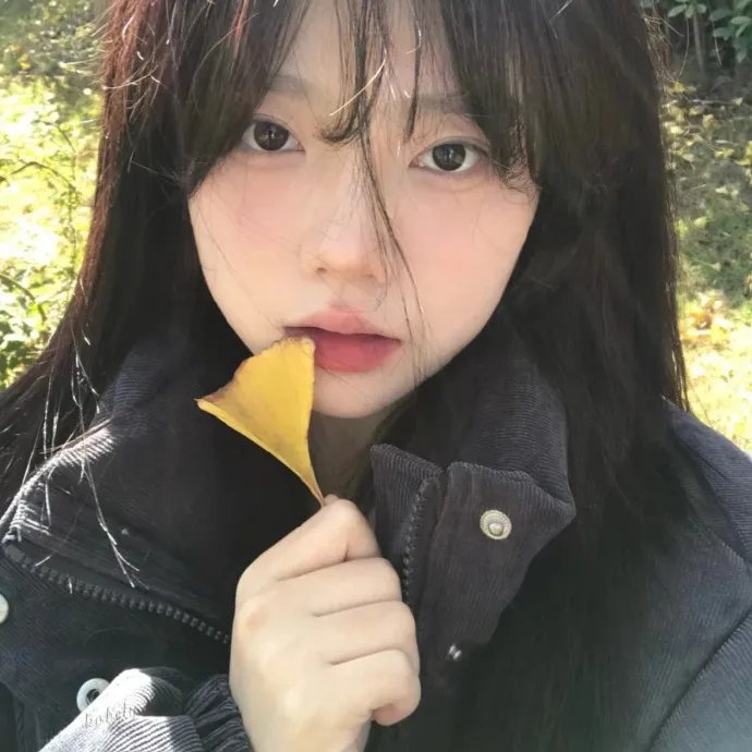 新进职员:电影版